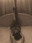Russian Prostitute Karina